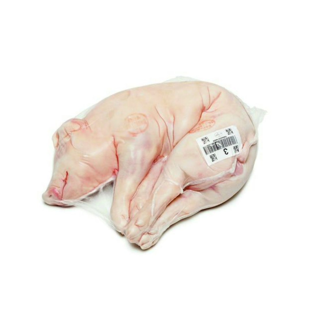 FCL SUCKLING PIG KG